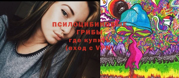 PSILOCYBIN Бугульма