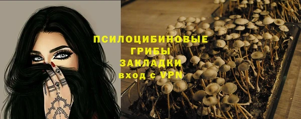 apvp Аркадак