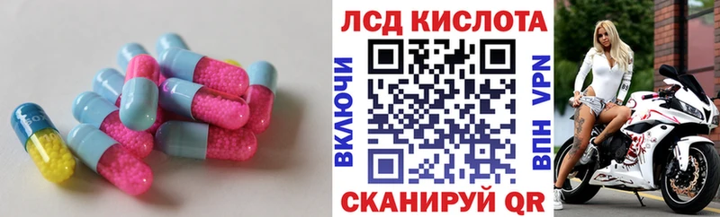 дарнет шоп  Ленинск-Кузнецкий  Лсд 25 экстази ecstasy 