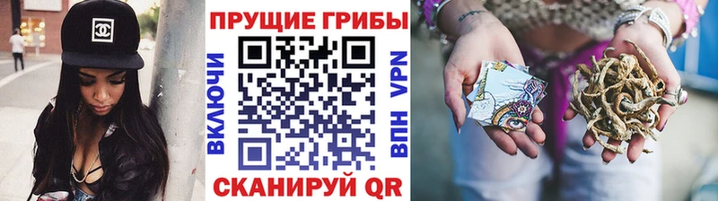 Псилоцибиновые грибы Psilocybine cubensis  ссылка на мегу ссылки  площадка как зайти  Ленинск-Кузнецкий 
